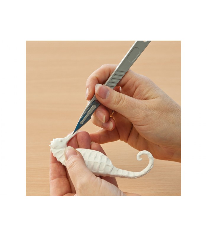 #11764 PKN1007-3_Sea_Horse