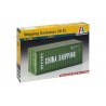 Shipping 20´ Container 1:24
